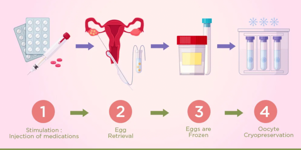 oocyte freezing cost