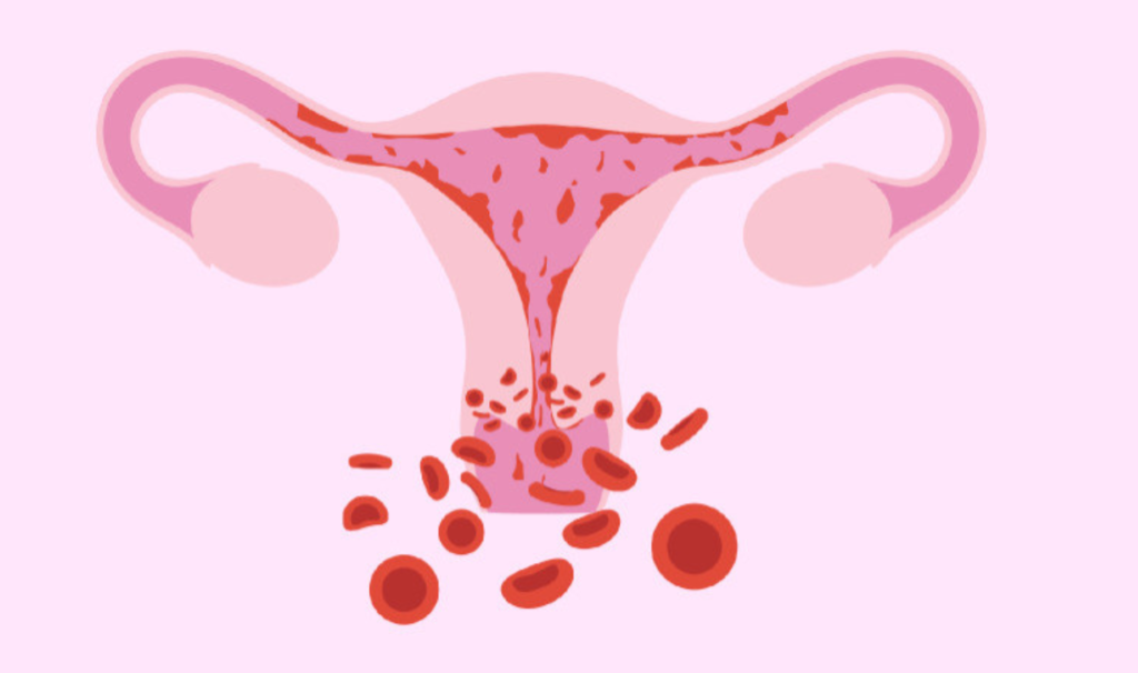 female menses problem